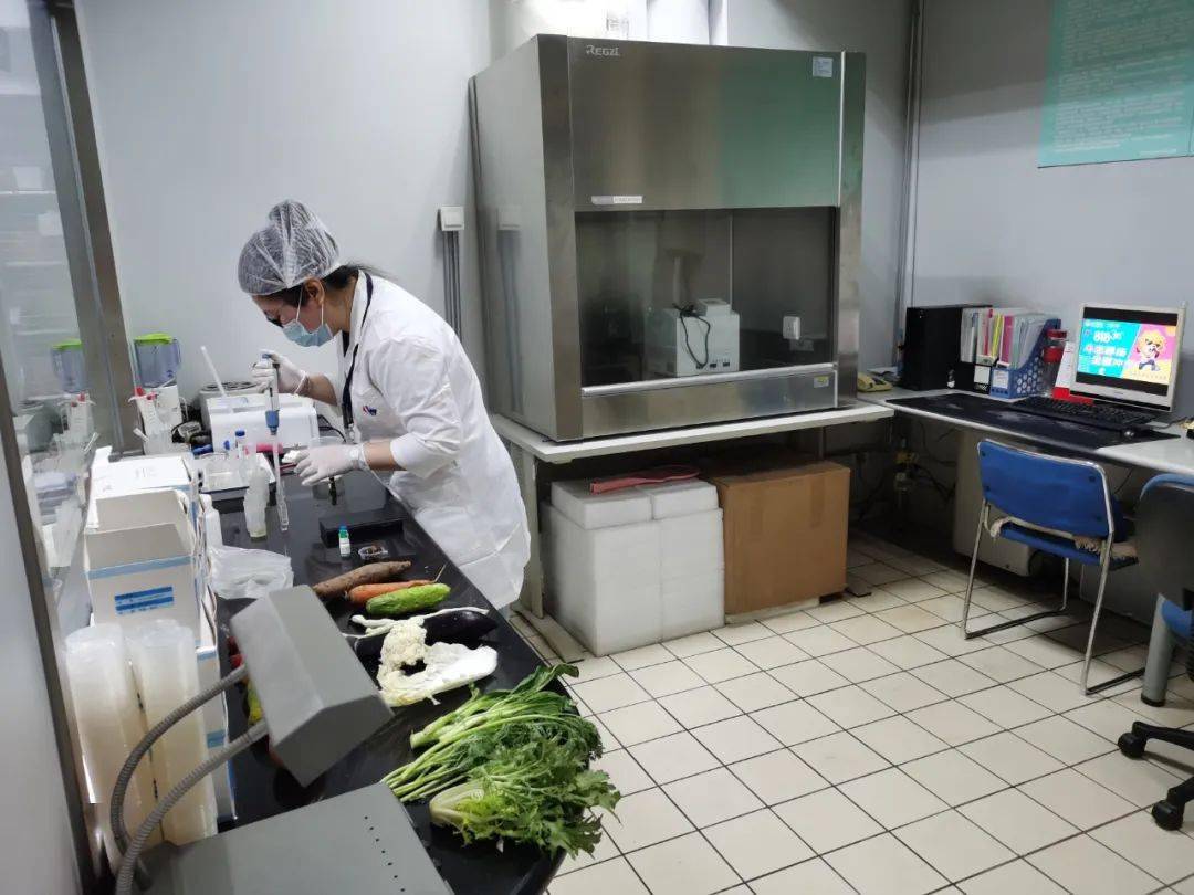 夷陵食品检测实验室装修方案